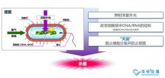 海信中央空調(diào)紫光盾殺菌模塊上市，健康技能加