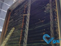 政府大樓空調(diào)水泵檢修維保方法 維護保養(yǎng)中央空調(diào)重要性